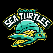 Southcoast Sea Turtles