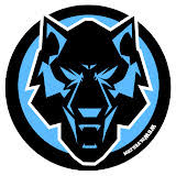 Winston-Salem Wolves